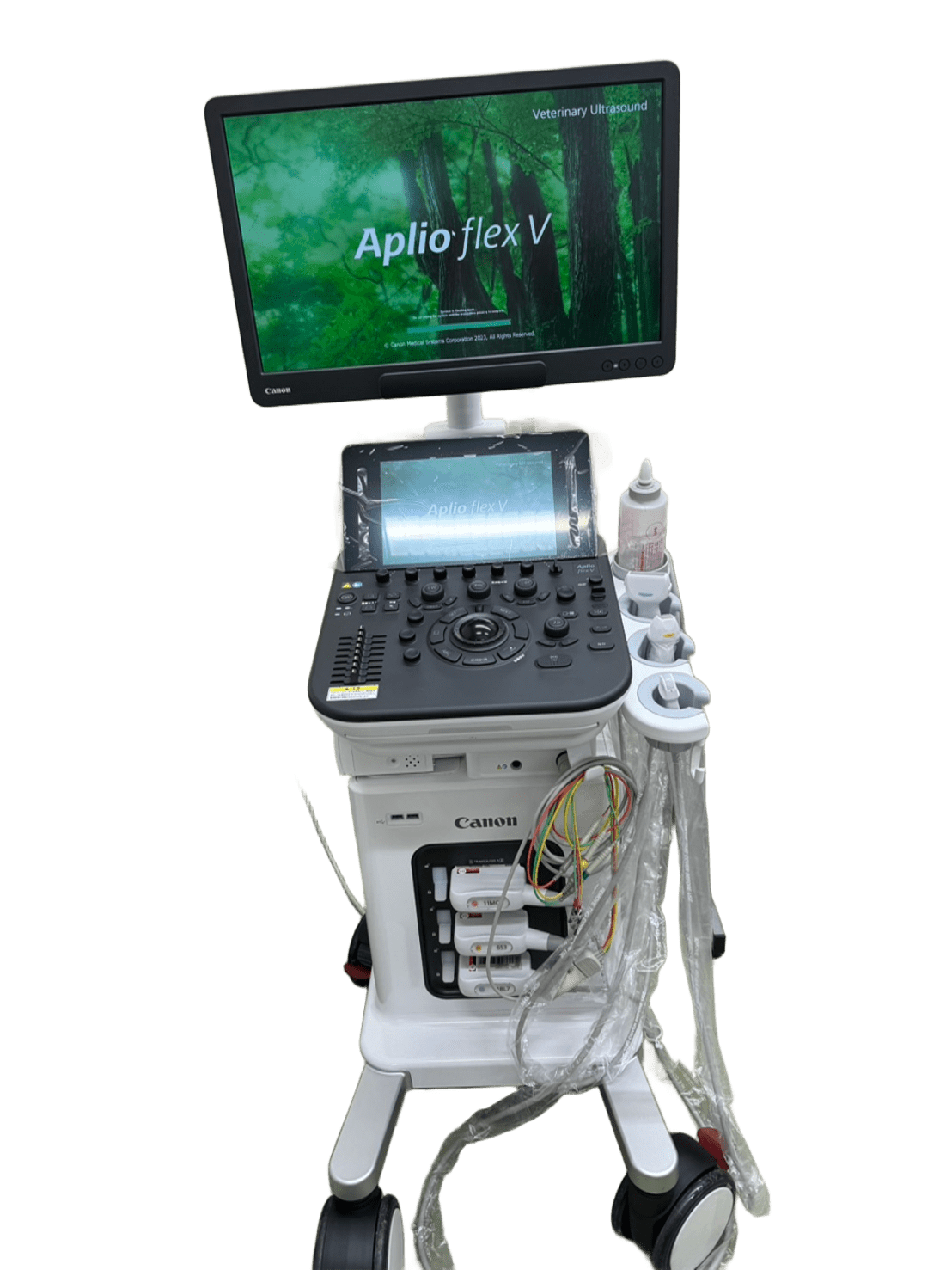 新しいエコー検査機器(Aplio flex V)導入のお知らせ バークレー便り
